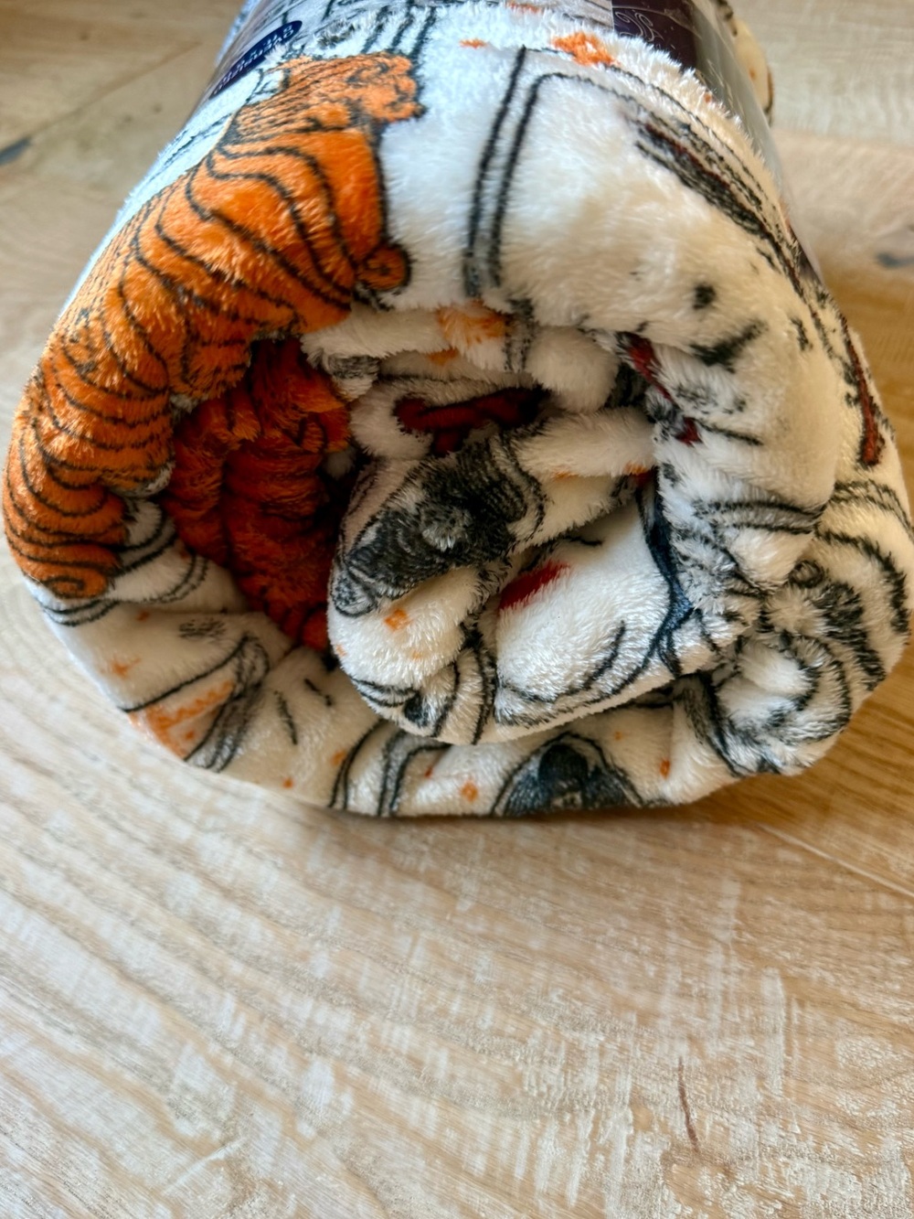 Disney Hocus Pocus The Big One Throw Blanket 60x72 Halloween Binx Cat Witch NEW - Picture 7 of 7